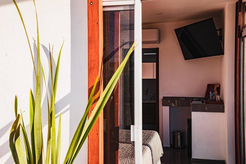 הוילה ואלה דה גוואדלופה Cabana El Alamo Con Jacuzzi מראה חיצוני תמונה